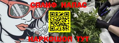 индика Будённовск