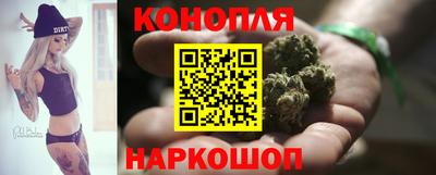 индика Будённовск