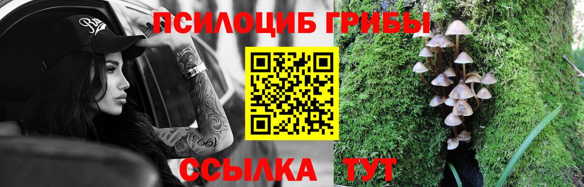Копейск  Псилоцибиновые грибы Magic Shrooms  Вход с VPN 