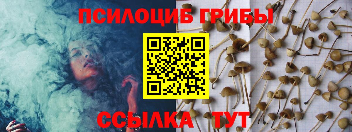 Галлюциногенные грибы ЛСД Копейск